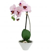 Kunstig Phalaenopsis lilla-hvit i bolle H38cm