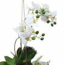 Orkidé med bregne og mosekuler Kunstig hvit hengende 64cm