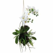 Orkidé med bregne og mosekule kunsthvit 64 cm