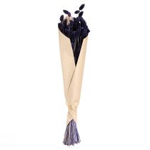 gjenstander Phalaris-fiolett tørket dekorativt gress 50-55 cm 100 g