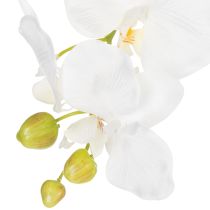 gjenstander Kunstig orkideplante, tilsynelatende realistisk, for kontor- og stuedekorasjon, 62 cm