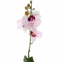Kunstig orkidé Phaleanopsis White, Purple 43cm