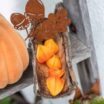 gjenstander Physalis Orange Assorted 22stk dekorative kunstige blomsterbeger