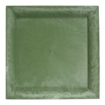 Plastplate grønn firkant 26cm x 26cm