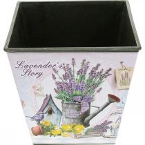 gjenstander Plantepotte lavendelmotiv, firkantet pyntekrukke, cachepotte i plast H13cm B13,5cm