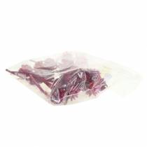 gjenstander Plumosum 1 Erika 25 stk