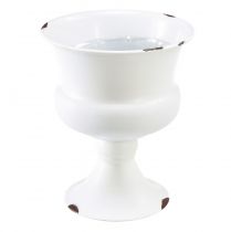 Kopp vase dekorativ kopp hvit rust Ø13,5cm H15cm Shabby Chic