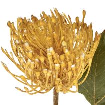 gjenstander Protea kunstig Leucospermum nålepute gul 30 cm 6 stk