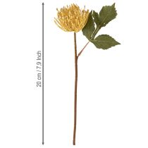gjenstander Protea kunstig Leucospermum nålepute gul 30 cm 6 stk