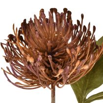 gjenstander Protea kunstig nålepute Leucospermum lilla 30 cm 6 stk