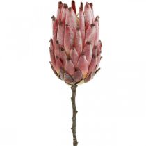 Kunstig Protea Rød Eksotisk kunstig blomst H55cm