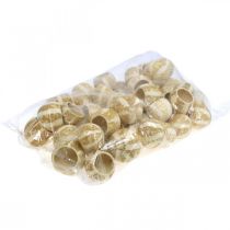 gjenstander Gresskardekor Klokkekopp Gresskarkopp bleket 50 stk