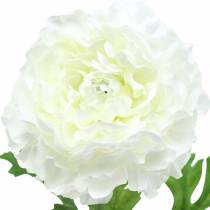 gjenstander Ranunculus hvit H45cm