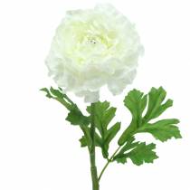 gjenstander Ranunculus hvit H45cm