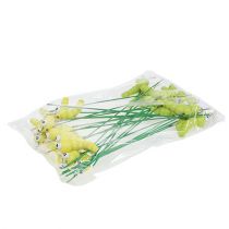 gjenstander Trelarve på pinnegrønn, gul 8cm 24 stk