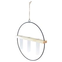 gjenstander Dekorativ vase med reagensrør, metallring, svart, hengende, moderne