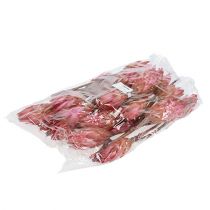 gjenstander Repens Erika 25 stk