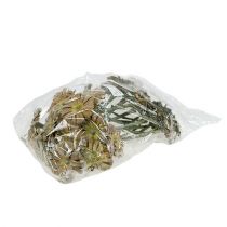 gjenstander Repens rosett grønn frostet 8cm - 9cm 25 stk