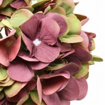 gjenstander Hortensia kunstrosa, bordeaux kunstig blomst stor 80cm