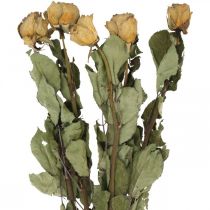 Tørket blomsterrose, Valentinsdag, tørket blomsterdekor, rustikke dekorative roser gulfiolett L45-50cm 5stk