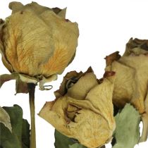 Tørket blomsterrose, Valentinsdag, tørket blomsterdekor, rustikke dekorative roser gulfiolett L45-50cm 5stk