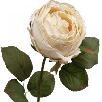 gjenstander Rose kremfarge, silkeblomst, kunstrose L74cm Ø7cm