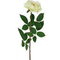 Kunstrose, dekorativ rose, silkeblomst kremhvit, grønn L72cm Ø12cm