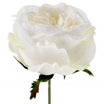 Rose blossom hvit 17cm 4stk