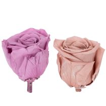 gjenstander Konserverte rosehoder, romantisk gave, holdbare roser til spesielle anledninger, 5 cm, 6 stk.
