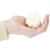 gjenstander Konserverte rosehoder, slitesterk borddekorasjon for en romantisk atmosfære, bryllupsdekorasjon, 5 cm, 6 stk.