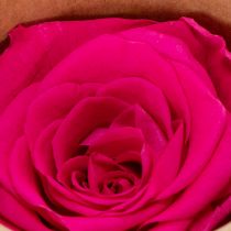 gjenstander Konserverte rosedekorasjoner, ekte blomster til borddekorasjon, unike og bærekraftige blomster, 5 cm, 6 stk.
