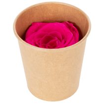 gjenstander Konserverte rosedekorasjoner, ekte blomster til borddekorasjon, unike og bærekraftige blomster, 5 cm, 6 stk.