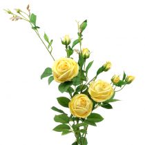 gjenstander Rose gren gul 100cm