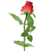 Rose Gren Silke Blomst Kunstig Rose Rød 72cm