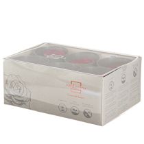 gjenstander Røde roser Infinity Roser Ekte rosehoder Røde Ø6cm 6 stk