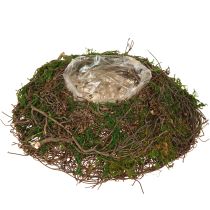 gjenstander Rund planteskål laget av vinranker med mose og folie til pynt