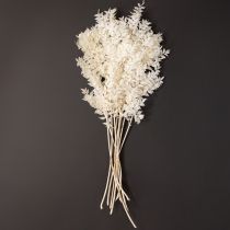 gjenstander Ruscus-grener dekorative grener tørkede blomster bleket 10 stk