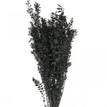 Ruscus grener dekorative grener tørkede blomster sorte 200g