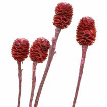 Deco greiner Sabulosum rød frostet 4-6 25 stk