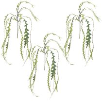 gjenstander Kunstsagblad Kaktus Epiphyllum anguliger L68cm 3 stk