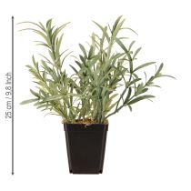 gjenstander Salvie i gryte Salvia Lavandulifolia Kunstig H25cm
