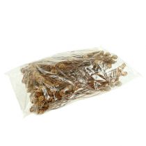 gjenstander Salignum light 4-6 blomster på Leucadendron-grenen 100 stk