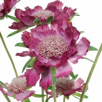 Scabious kunstig blomst rosa sommerblomst H64cm haug med 3stk