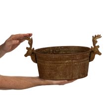 gjenstander Dekorativ bolle, reinsdyrhode, oval, rustfarget, rustikk, 41 cm