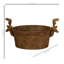 gjenstander Dekorativ bolle, reinsdyrhode, oval, rustfarget, rustikk, 41 cm