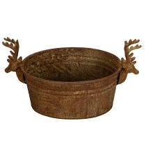 gjenstander Dekorativ bolle, reinsdyrhode, oval, rustfarget, rustikk, 41 cm