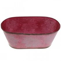 gjenstander Skål med bladdekorasjon, planter, høstdekorasjon, metallgryte vin rød L38cm H15cm