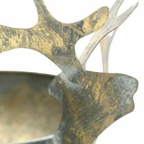 gjenstander Skål med reinsdyrhode gylden antikk look metall Ø14cm