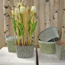 gjenstander Blomsterpotte laget av metall planteskål med håndtak grønn, hvit, grå L24cm H14,5cm 3stk