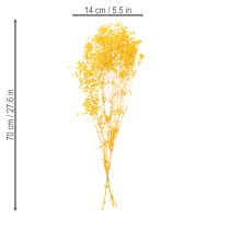 gjenstander Tørket blomsterbukett med babypust. Dekorative blomstrende grener egnet for sesongbasert borddekorasjon. 70 cm
